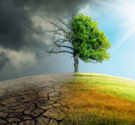 Recent climate change & cleantech reports suggest