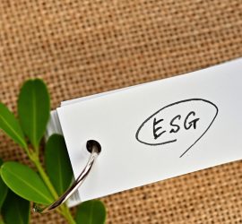 Rewarding ESG Disclosures