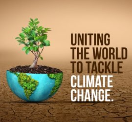 COP30 Net Zero Atlas