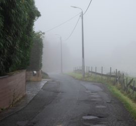 Foggy Roads and Policy Potholes