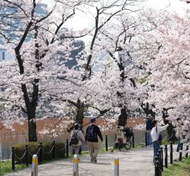 Japan’s $1trn Bet on the Climate Transition