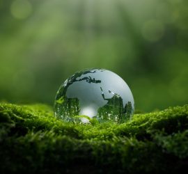 Ascending From The Plateau?